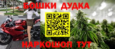 крисы Апшеронск